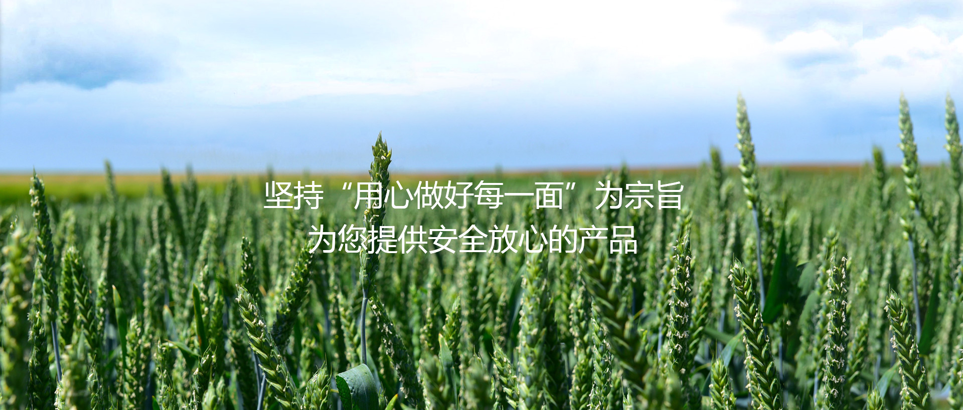 河南仙力面業(yè)有限公司